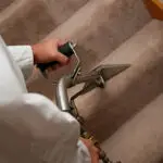 Carpet Cleaning brisbane