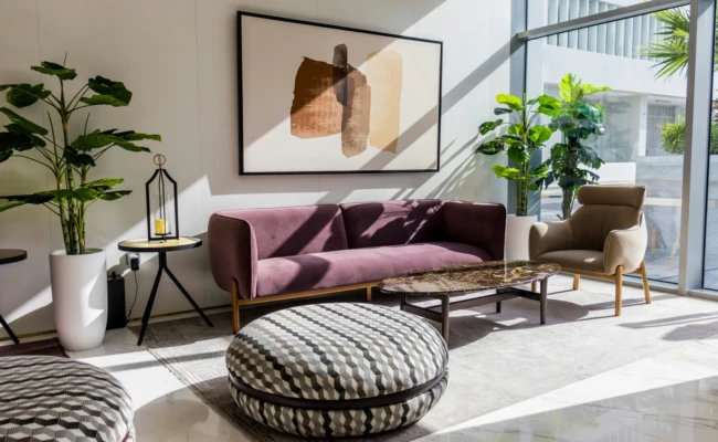 Discover Brisbane’s Best Carpet Cleaning Services