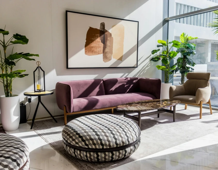 Discover Brisbane’s Best Carpet Cleaning Services