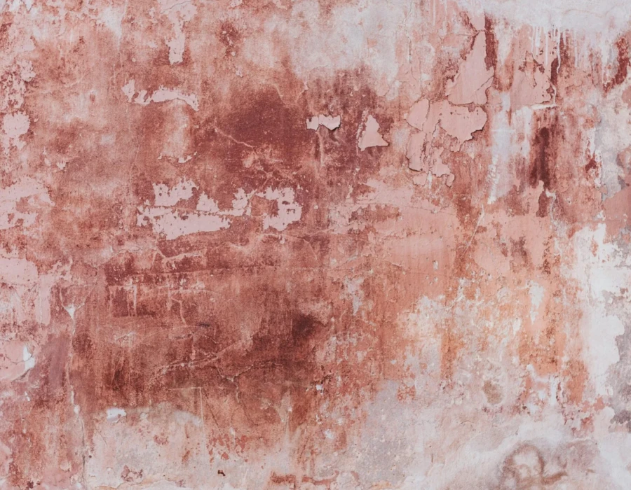 Say Goodbye to Stubborn Carpet Stains with Johnny Go’s Professional Service